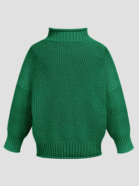 Turtleneck Long Sleeve Sweater